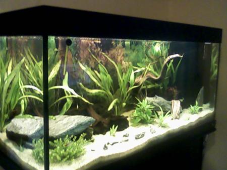 mon aquarium!